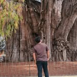 Edgar Manuel Santos Lopez - @manuel.pxm - Instagram