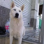 Edgar Mayo - @mayo8799 - Instagram