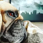 Edgar Mayorga - @edmay73 - Instagram