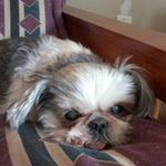 Edgar McDowell - @edgarmcdowell10 - Instagram