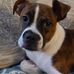 Ed McLaughlin - Facebook