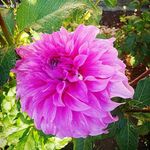 Edgar Mclean - @edgarmclean47 - Instagram