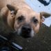 Ed Meeks - Facebook
