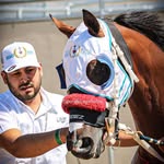 Edgar Mena - @edgar_mena_ - Instagram