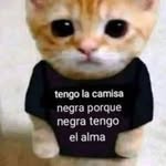 Edgar Mendivil - @mendivil.edgar - Instagram