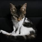 Edgar Mera - @edmera32 - Instagram