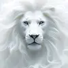 Edgar Mercedes - @edgar.mercedes8 - TikTok