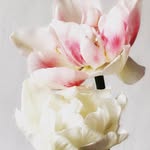 Edgar Miles - @edgarmiles498 - Instagram