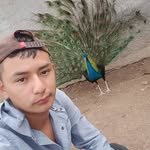 Edgar Milla - @milla5380 - Instagram