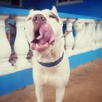 Edgar Milla🍃 - @edgarmilla5225 - Instagram