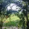 Edgar Milla - @edgar.milla3 - TikTok