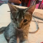 edgar milton - @edgarmilton495 - Instagram