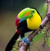 Edgar Milton Hernandez - Facebook