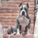 Edgar Minor Najera - @edgarinminor - Instagram