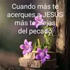 hermecuz1 - @edgaramiro - TikTok