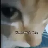 EDGAR - @edgarmollo40 - TikTok