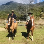 Edgardo E. Cardenas Moll - Facebook