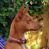 Edgar Monreal - @edgar.monreal3 - TikTok