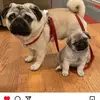 edgarmonreal25 - @edgarmonreal25 - TikTok