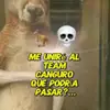 Edgar Monzon - @edgar.monzon3 - TikTok
