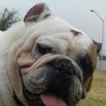 Edgar Morado - @morado.ed - Instagram