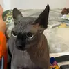 Edgar Morado - @edgar.morado1 - TikTok