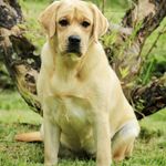 Edgar Murphy - @murphy_ortiz - Instagram