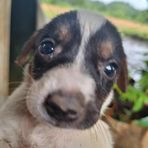 Eđgar Murphy - Facebook