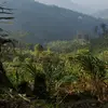 oswaldo xol,c , - @edgar.oswaldo.xol - TikTok