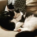 Edgar und Alfons Owen - @edgar_alfons_ednet_ - Instagram