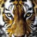 Edgar Paco - Facebook
