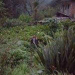 Edgar Paco Lopez - @edgar.paco - Instagram