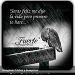 Edgar Palma - @edgar.palma.10048379 - Instagram