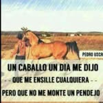 Edgar - @edgar_el_caga_palos - Instagram