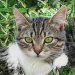 Edgar Parker - @uoronald_fbalekseev_38k97c - Instagram