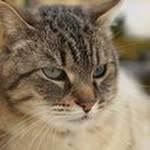 Edgar Parker - @fgsusan_mary_p7fnki - Instagram