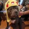 Edgar Parker - @edgar.parker - TikTok