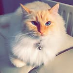Edgar C. Parsons - @edgarparsons_ - Instagram