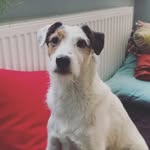 @edgar_parson - Instagram