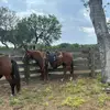 ROLANDO 🤠 - @edgarpasillas16 - TikTok