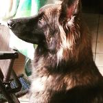 Edgar Perla - @edgar.perla.961 - Instagram