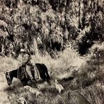 Edgar Perry - @edgar.perry.5832 - Instagram