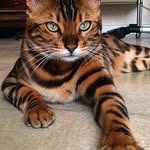 Edgar Piñeiro - @edgar.pineiro.10 - Instagram
