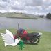 Edgar Pinto - Facebook