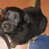 Edgar Pinzon - @edgar.pinzon7 - TikTok