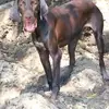 Edgar Pinzon - @edgar.pinzon6 - TikTok