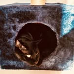 Edgar Poe - @edgarpoe82 - Instagram
