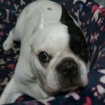 Edgar Posada - @edgar.posada.948 - Instagram