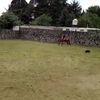 Edgar Posadas - @edgarposadas1611 - TikTok
