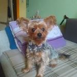 Edgar Post - @edgarpost_ - Instagram